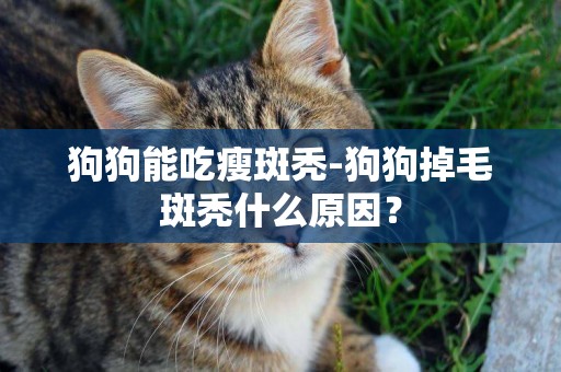狗狗能吃瘦斑禿-狗狗掉毛斑禿什么原因？