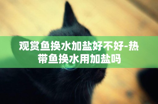 觀賞魚換水加鹽好不好-熱帶魚換水用加鹽嗎