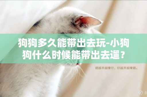 狗狗多久能帶出去玩-小狗狗什么時候能帶出去遛？