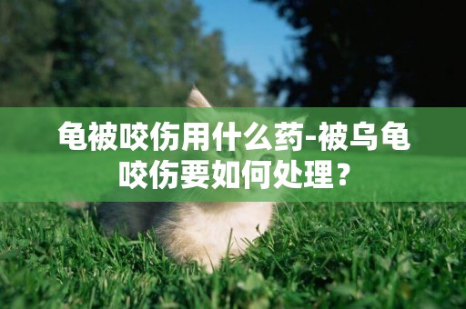 龜被咬傷用什么藥-被烏龜咬傷要如何處理？