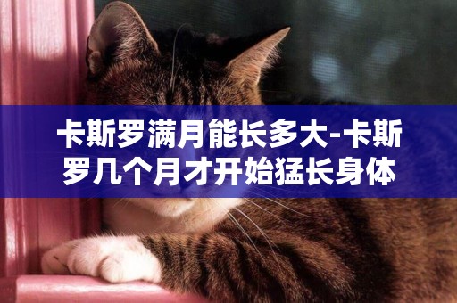 卡斯羅滿月能長多大-卡斯羅幾個月才開始猛長身體