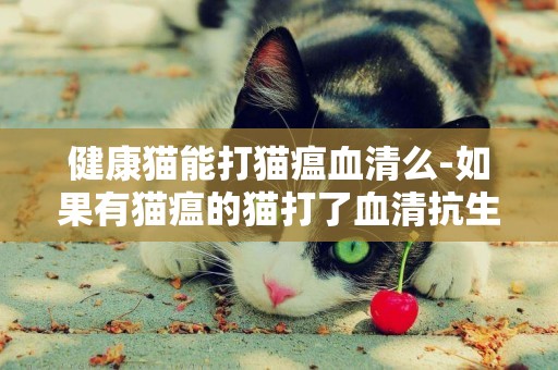 健康貓能打貓瘟血清么-如果有貓瘟的貓打了血清抗生素能測出來嗎