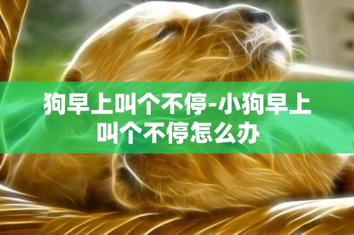 狗早上叫個不停-小狗早上叫個不停怎么辦