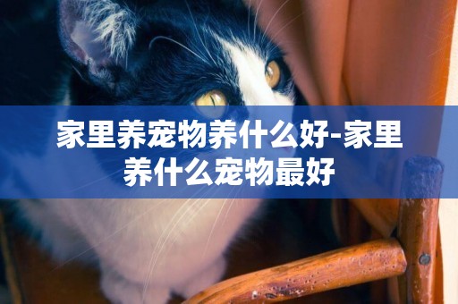 家里養寵物養什么好-家里養什么寵物最好
