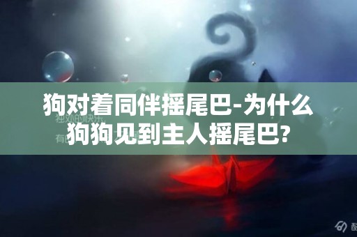狗對著同伴搖尾巴-為什么狗狗見到主人搖尾巴?