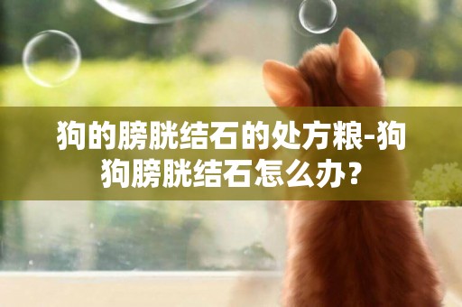 狗的膀胱結石的處方糧-狗狗膀胱結石怎么辦？