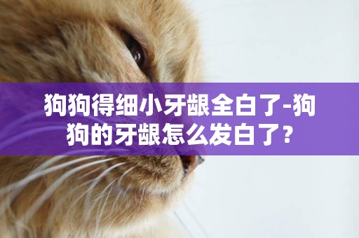 狗狗得細小牙齦全白了-狗狗的牙齦怎么發白了？
