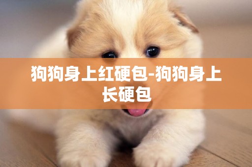 狗狗身上紅硬包-狗狗身上長硬包