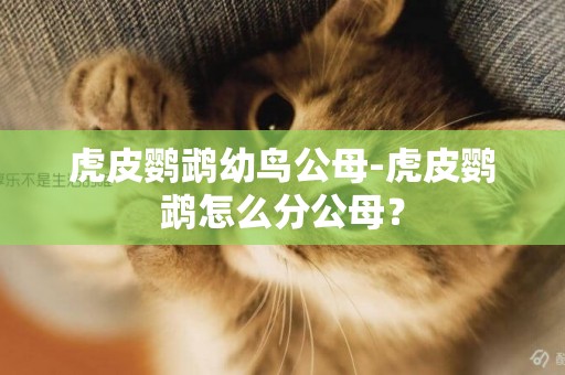 虎皮鸚鵡幼鳥公母-虎皮鸚鵡怎么分公母？