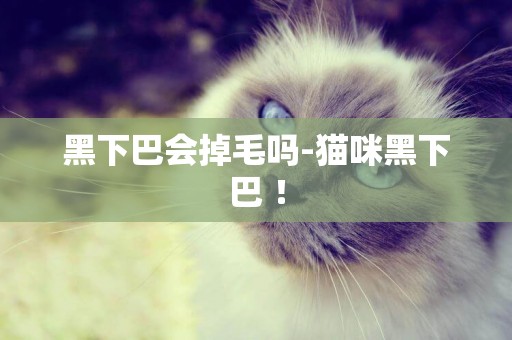 黑下巴會掉毛嗎-貓咪黑下巴 ！