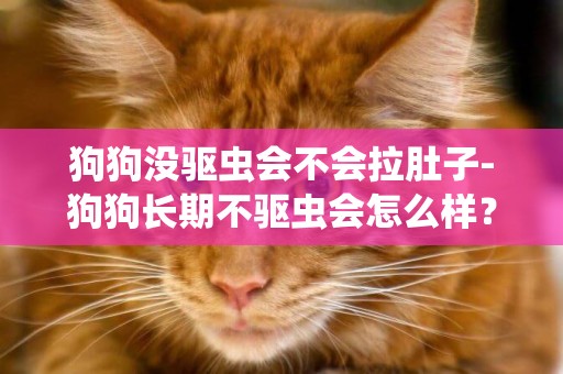 狗狗沒驅蟲會不會拉肚子-狗狗長期不驅蟲會怎么樣？