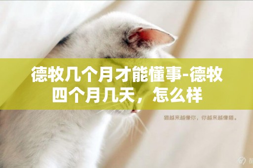 德牧幾個月才能懂事-德牧四個月幾天，怎么樣