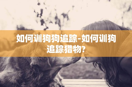如何訓狗狗追蹤-如何訓狗追蹤獵物?