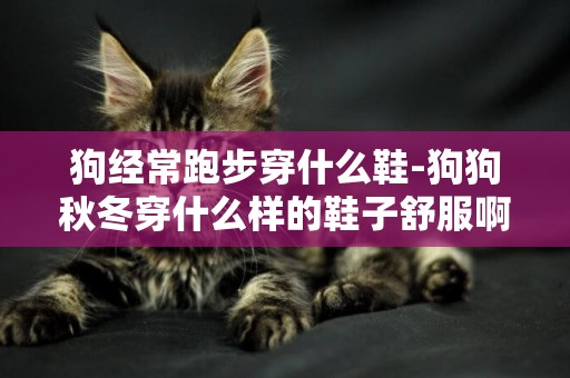 狗經常跑步穿什么鞋-狗狗秋冬穿什么樣的鞋子舒服啊？