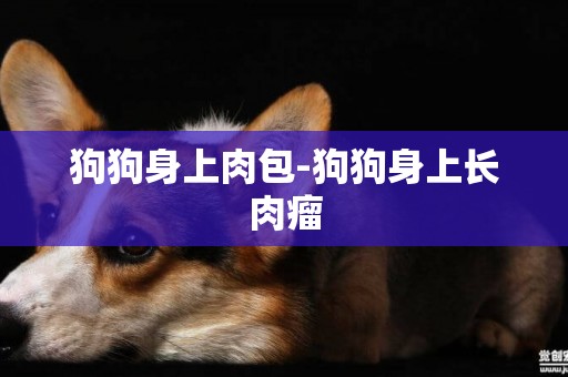 狗狗身上肉包-狗狗身上長肉瘤