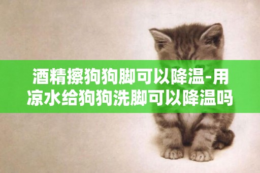酒精擦狗狗腳可以降溫-用涼水給狗狗洗腳可以降溫嗎?