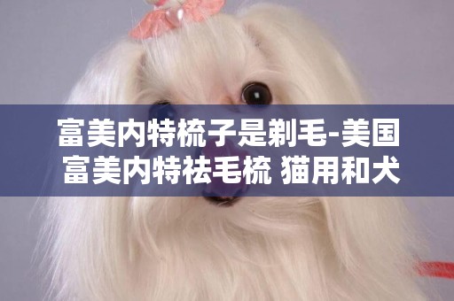 富美內特梳子是剃毛-美國 富美內特祛毛梳 貓用和犬用的區別