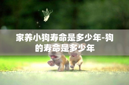 家養小狗壽命是多少年-狗的壽命是多少年