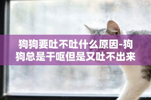狗狗要吐不吐什么原因-狗狗總是干嘔但是又吐不出來是什么原因