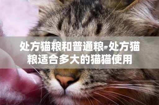 處方貓糧和普通糧-處方貓糧適合多大的貓貓使用