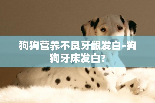 狗狗營養不良牙齦發白-狗狗牙床發白?