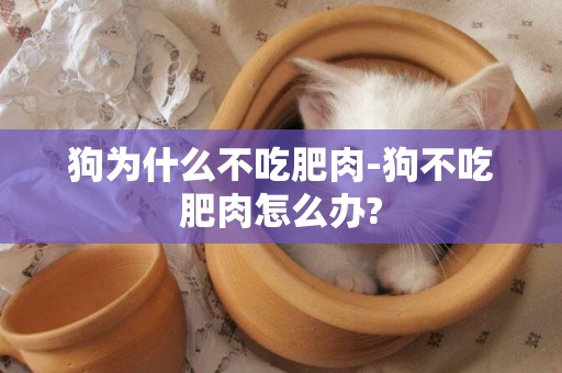 狗為什么不吃肥肉-狗不吃肥肉怎么辦?