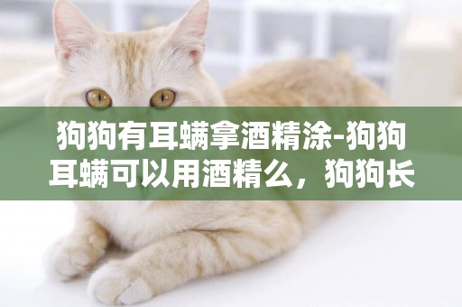 狗狗有耳螨拿酒精涂-狗狗耳螨可以用酒精么，狗狗長耳螨怎么辦