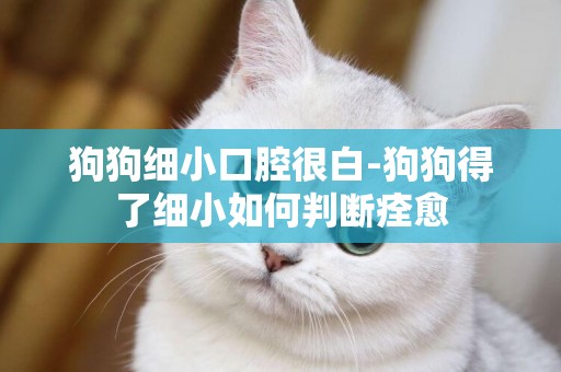 狗狗細小口腔很白-狗狗得了細小如何判斷痊愈