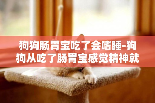 狗狗腸胃寶吃了會嗜睡-狗狗從吃了腸胃寶感覺精神就不怎么好 整天就睡覺