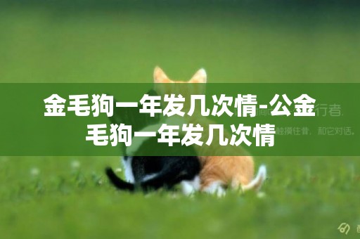 金毛狗一年發幾次情-公金毛狗一年發幾次情