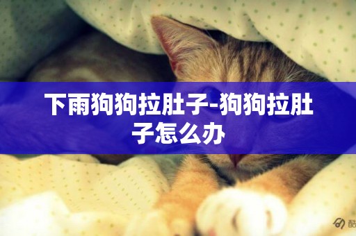 下雨狗狗拉肚子-狗狗拉肚子怎么辦