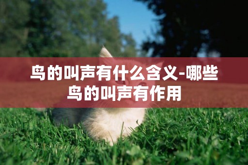 鳥的叫聲有什么含義-哪些鳥的叫聲有作用