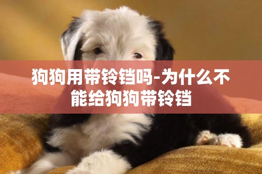 狗狗用帶鈴鐺嗎-為什么不能給狗狗帶鈴鐺