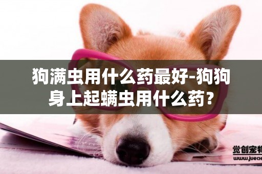 狗滿蟲用什么藥最好-狗狗身上起螨蟲用什么藥？