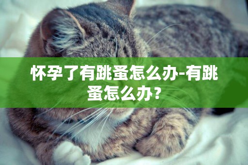 懷孕了有跳蚤怎么辦-有跳蚤怎么辦？
