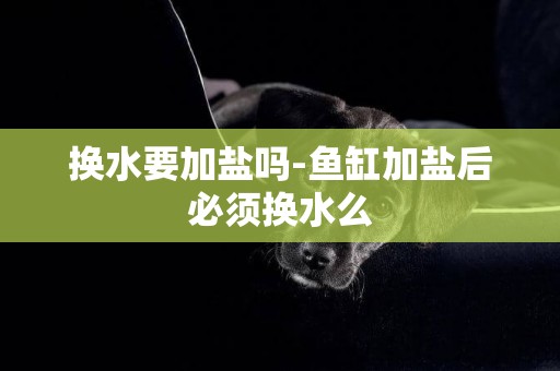 換水要加鹽嗎-魚缸加鹽后必須換水么