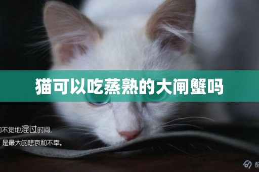 貓可以吃蒸熟的大閘蟹嗎