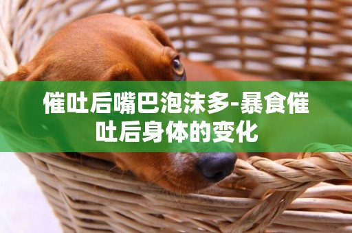 催吐后嘴巴泡沫多-暴食催吐后身體的變化