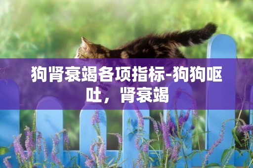 狗腎衰竭各項指標-狗狗嘔吐，腎衰竭