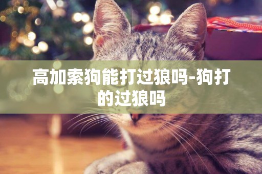 高加索狗能打過狼嗎-狗打的過狼嗎