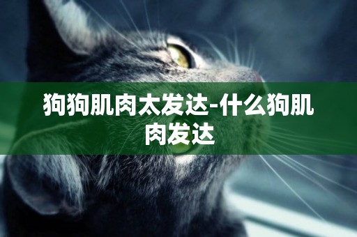 狗狗肌肉太發達-什么狗肌肉發達
