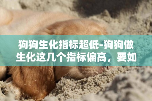 狗狗生化指標超低-狗狗做生化這幾個指標偏高，要如何治療，治療費用大概多少？