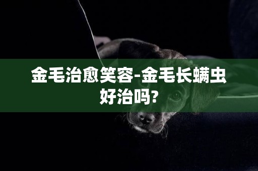 金毛治愈笑容-金毛長螨蟲好治嗎?