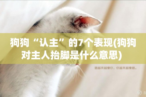 狗狗“認主”的7個表現(狗狗對主人抬腳是什么意思) 