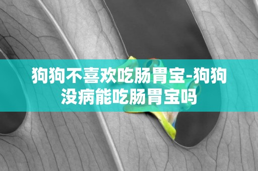 狗狗不喜歡吃腸胃寶-狗狗沒病能吃腸胃寶嗎