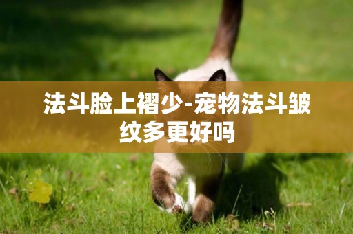 法斗臉上褶少-寵物法斗皺紋多更好嗎