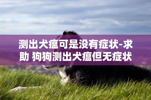 測出犬瘟可是沒有癥狀-求助 狗狗測出犬瘟但無癥狀