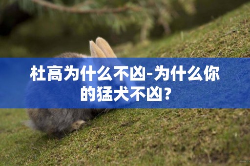 杜高為什么不兇-為什么你的猛犬不兇？