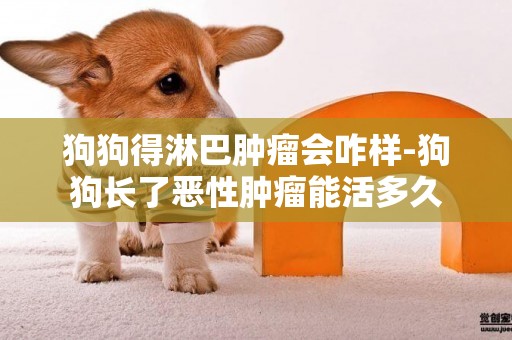 狗狗得淋巴腫瘤會咋樣-狗狗長了惡性腫瘤能活多久