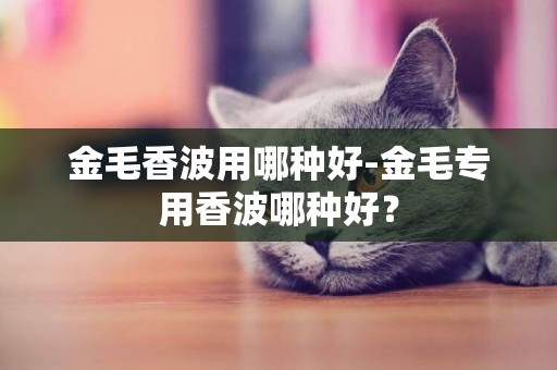 金毛香波用哪種好-金毛專用香波哪種好？